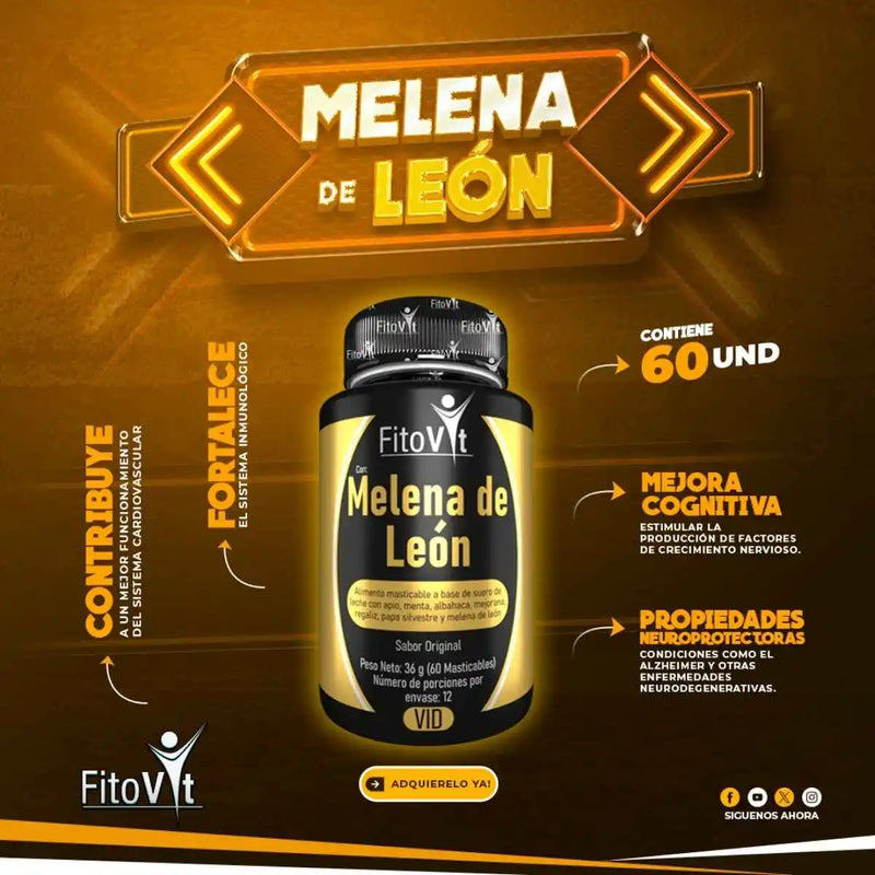 TRIPACK ENERGÍA & CONCENTRACIÓN 💪🏻🧠